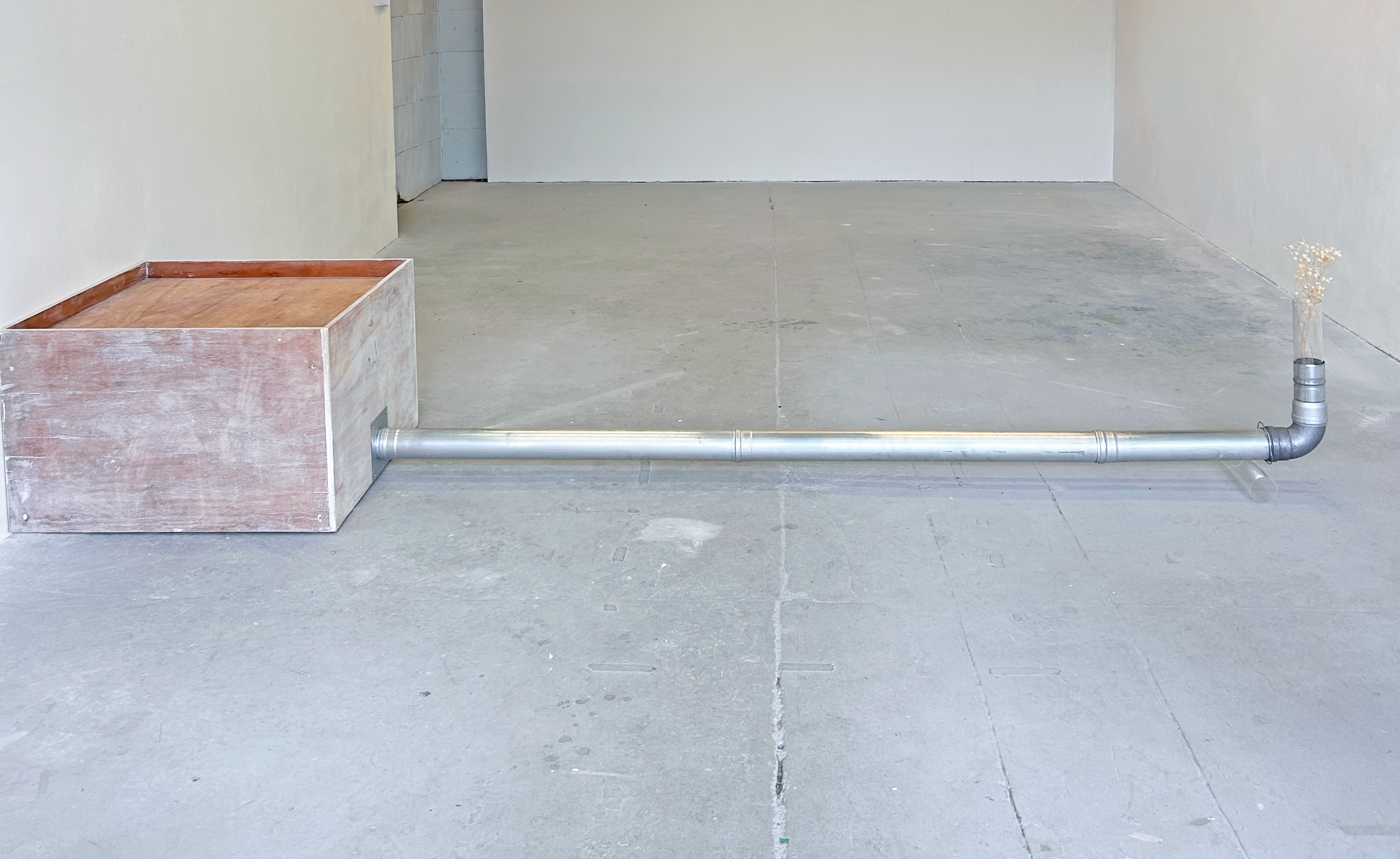 Persona Volatile Organic Compound, Ella Fleck